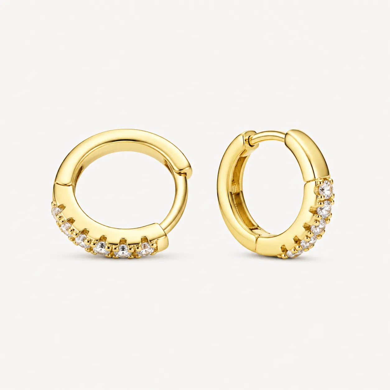 Hoop Earrings